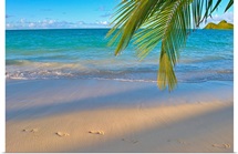 Hawaii, Oahu, Footprints In The Sand At Lanikai Beach