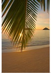 Hawaii, Oahu, Mokulua Islands, Golden Sunrise At Lanikai Beach