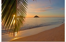 Hawaii, Oahu, Mokulua Islands, Golden Sunrise At Lanikai Beach
