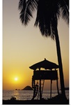 Mexico, Ixtapa Coast, Beach Bungalow And Palm Tree Silhouette At Sunset