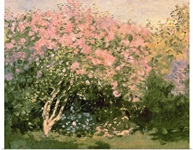 Lilac in the Sun, 1873 (oil on canvas)