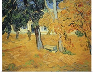 The Park at St. Paul's Hospital, St. Remy, 1889