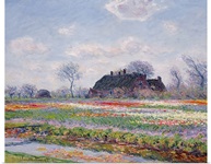 Tulip Fields at Sassenheim, near Leiden, 1886 (oil on canvas)