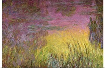 Waterlilies at Sunset, 1915 26 (oil on canvas) (detail of left side)