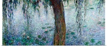 Waterlilies: Morning with Weeping Willows