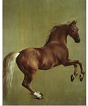 Whistlejacket, 1762