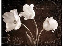 Garden Love Letter II