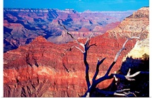 Grand Canyon II