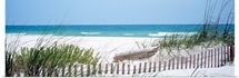 Fence Beach AL