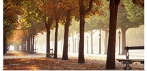 France, Paris, Champs Elysees