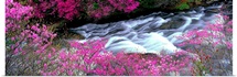 Ryuzu Falls Tochigi Japan