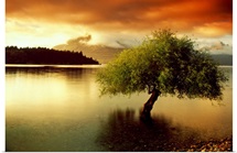 South Island New Zealand