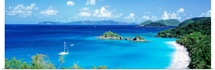 Trunk Bay St John Virgin Is West Indies