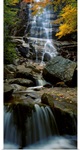 Waterfall in a forest, Arethusa Falls, Crawford Notch State Park, New Hampshire, New England
