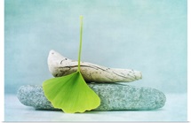 Wood, Stone And A Gingko Leaf
