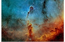 The Elephant Trunk Nebula