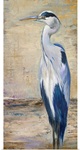 Blue Heron II