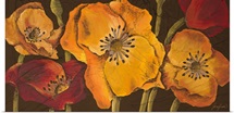 Dazzling Poppies II