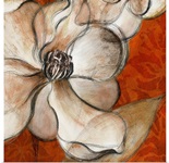 Magnolias with Spice