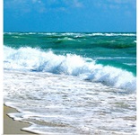 Teal Surf I