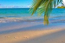 Hawaii, Oahu, Footprints In The Sand At Lanikai Beach
