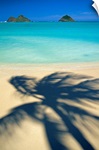 Hawaii, Oahu, Lanikai Beach, Shadow Of Palm Tree Near Mokulua Islands