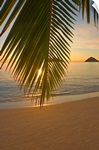 Hawaii, Oahu, Mokulua Islands, Golden Sunrise At Lanikai Beach