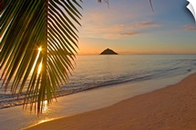 Hawaii, Oahu, Mokulua Islands, Golden Sunrise At Lanikai Beach