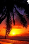Hawaii, View Of Sunset From The Beach