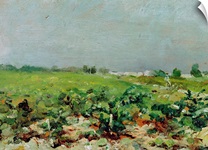 Celeyran, View of the Vineyard, 1880 (oil on canvas)