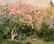 Lilac in the Sun, 1873 (oil on canvas)