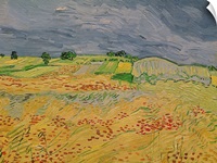 Plain at Auvers, 1890 (oil on canvas)
