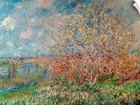Spring, 1880 82 (oil on canvas)