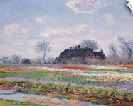 Tulip Fields at Sassenheim, near Leiden, 1886 (oil on canvas)