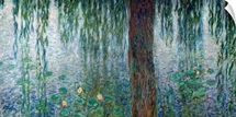 Waterlilies: Morning with Weeping Willows