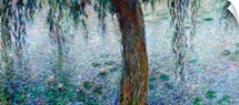 Waterlilies: Morning with Weeping Willows