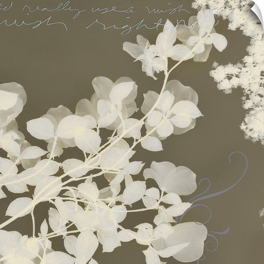 Wishes & Leaves I