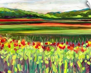 Wildflower Meadow