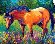 Dunn Mare