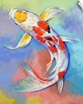 Butterfly Koi Fish