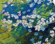 Cherry Blossoms