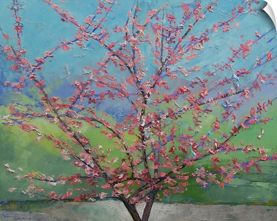 Eastern Redbud Tree