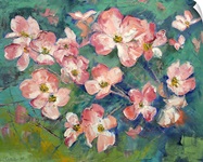 Pink Flowering Dogwood