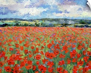 Poppies