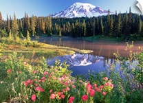 Mt Rainier and wildflowers at Reflection lake Mt Rainier National Park Washington