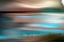 Migrations