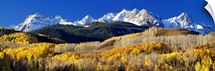 Colorado, Rocky Mountains, aspens, autumn