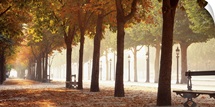France, Paris, Champs Elysees