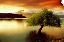 South Island New Zealand