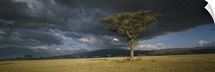 Storm clouds over a landscape, Tanzania